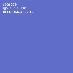 #606DC9 - Blue Marguerite Color Image